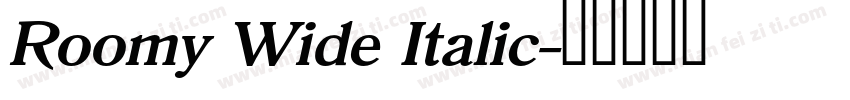 Roomy Wide Italic字体转换